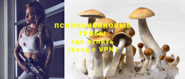 2c-b Баксан