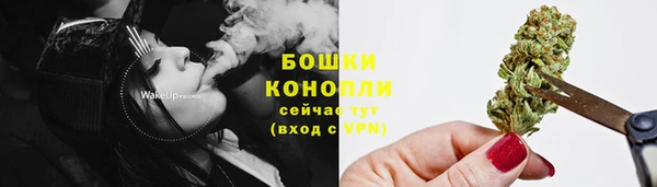 PSILOCYBIN Балахна