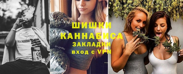 PSILOCYBIN Балахна