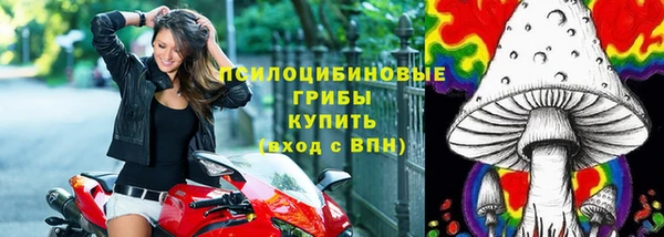 PSILOCYBIN Балахна